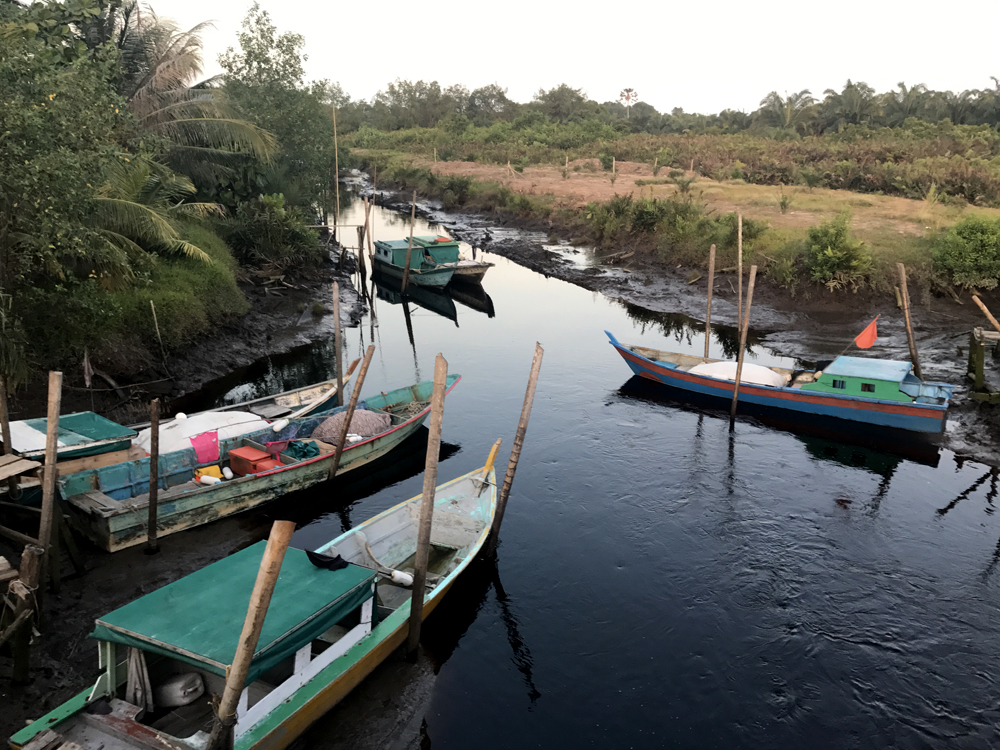 Fisherboats used by local peatland communities living adjacent to the coast © Tan Zu Dienle