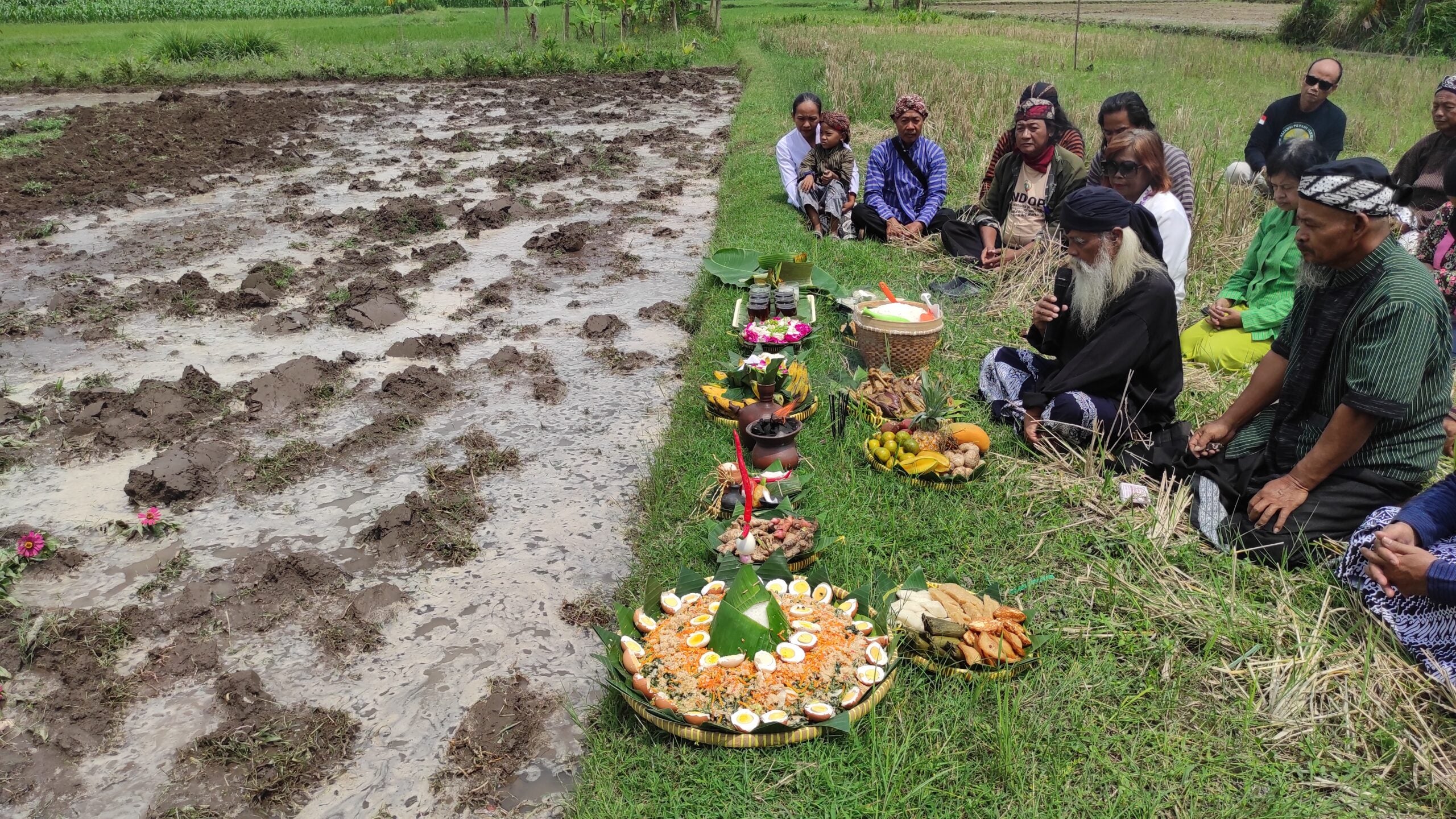 Rice ritual in Yogyakarta