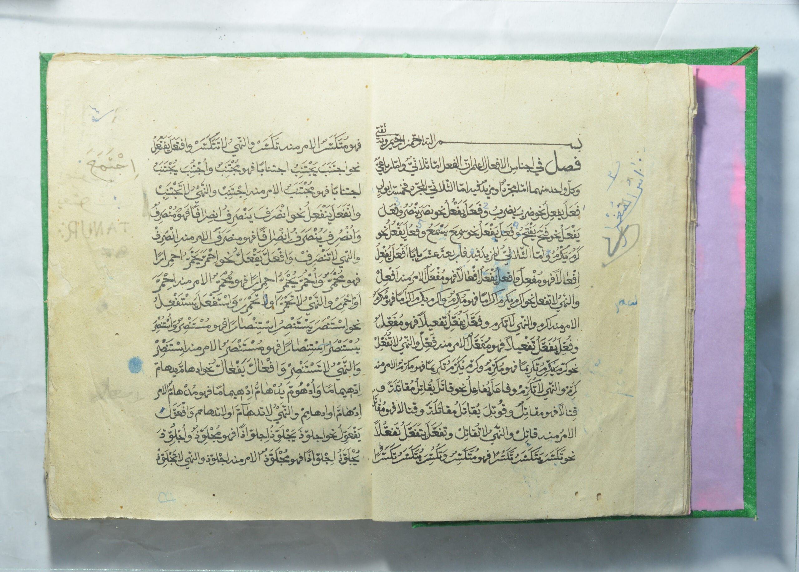 Ajnās al-sughrā