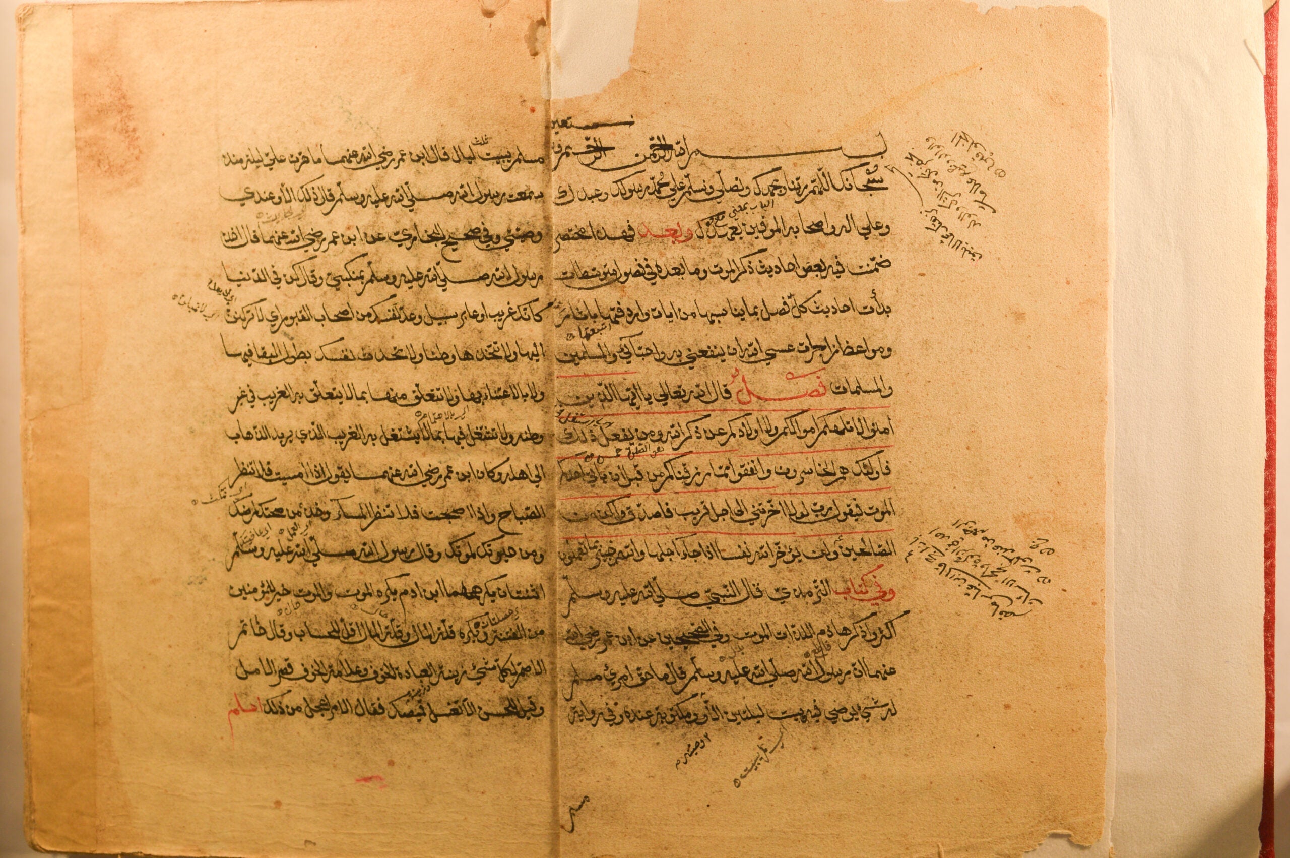 Aḥādīth dhikr al-mawt