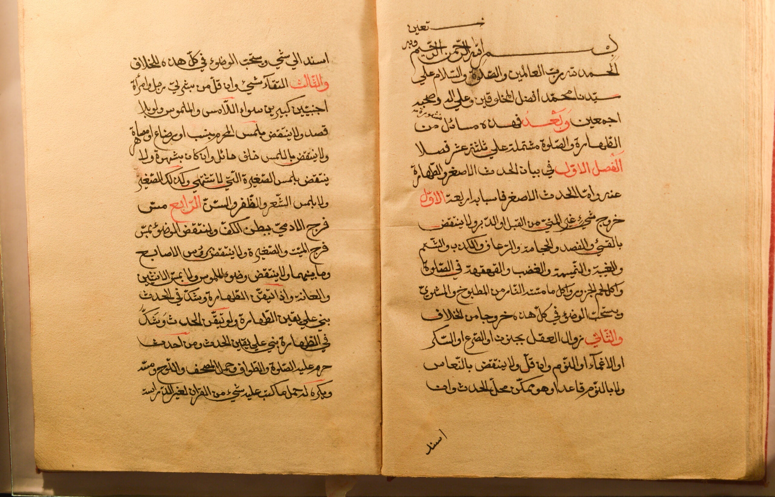 Masāʼil min al-ṭahāra wa-al-ṣalāt