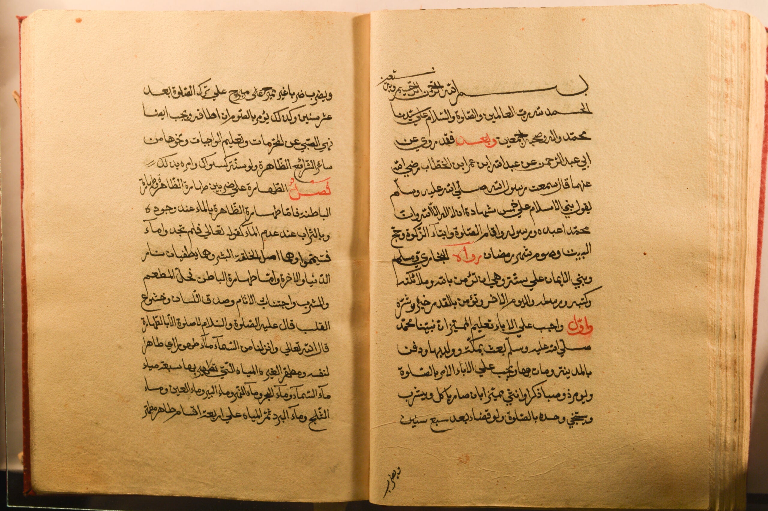 Faṣl fī al-ṭahāra